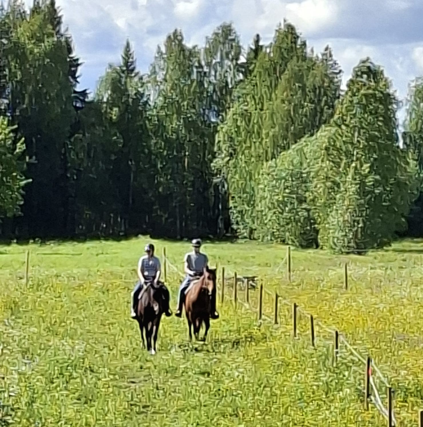 Haro te paard